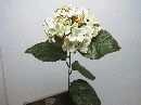 Hydrangea einzeln 60cm CREME-GOLD 60cm
