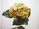 Hydrangea einzeln 60cm GOLDGELB 60cm