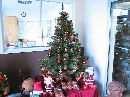 Tannenbaum 165cm Zapfen 233 DUNKELGRÜN 165cm 233