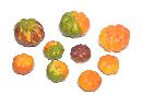 Kürbis 2Größen sortiert FARBL. SORT. 1,5 u. 2,5cm