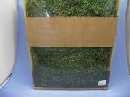 Dschungelmoos MOOSGRÜN 27 SPP-1kg.