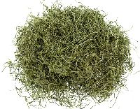 Dschungelmoos APFELGRUEN 22 SPP-1kg.