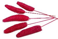 Luffa mit Stiel azalee 67 100 St.