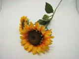 Blumen