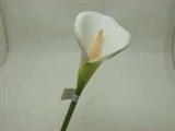 Blumen