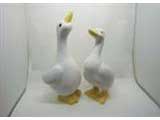 Sonstiges - Tiere