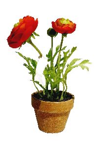 Ranunkel x3 im Topf DUNKELORANGE Kunstblume ØTopf: 7,5 cm Gesamthöhe:15cm