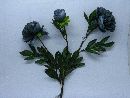 Peonie x3 BLAU 