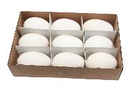 Gänseeier WEISS 9 Stück