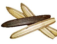 Bootschote NATUR 100 St. halbiert