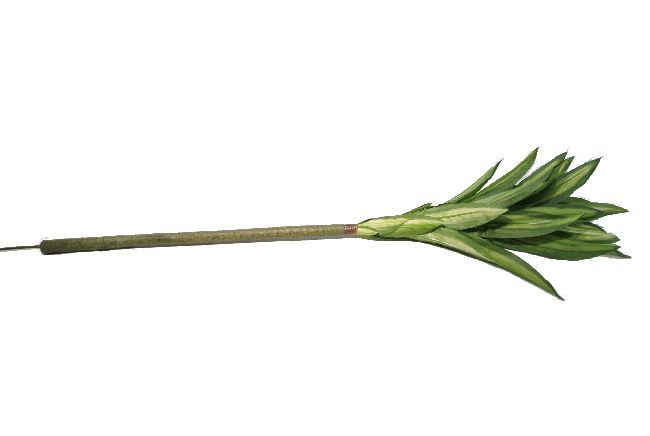 Seidenblumen GRÜN-Dracaene einzelstiel Länge 50cm