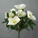 Christrosenbusch WEISS 25cm x7Blüt.