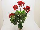 Geranienbusch x5 ROT 40cm