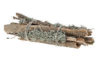 Pappelholz NATUR 17110 50x10cm mit Moosflechten