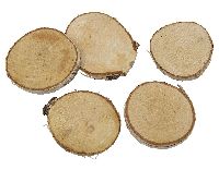 Birkenscheiben NATUR 80220 Ø6cm rund ca.400 g ca.20 Stück