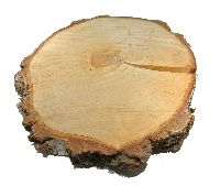 Birkenscheiben NATUR 25841 2.Wahl Ø20-30cm x 3,5cm