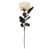 Rose Madame CREME 11 Länge:37cm 1333