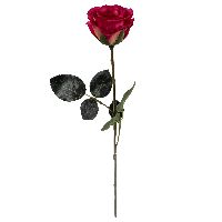 Rose Madame PINK 06 Länge:37cm 1333