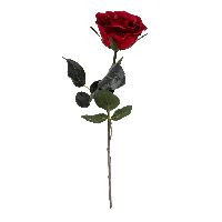 Rose Madame ROT 04 Länge:37cm 1333