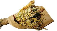 Trockenblumen Bouquet natur 33818 ca. 100 Gramm / Länge 50cm