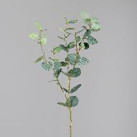 Eukalyptus Zweig künstlich GRÜN 57314 76cm
