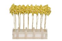 Windrad mit Biene gelb Windmühle zum Stecken Ø9cm + Holzstab